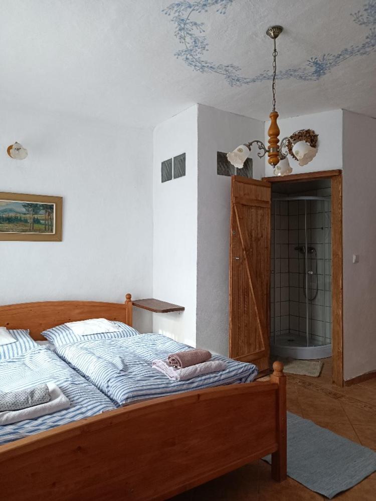 Ubytovani Pod Jilmem Zar 部屋 写真